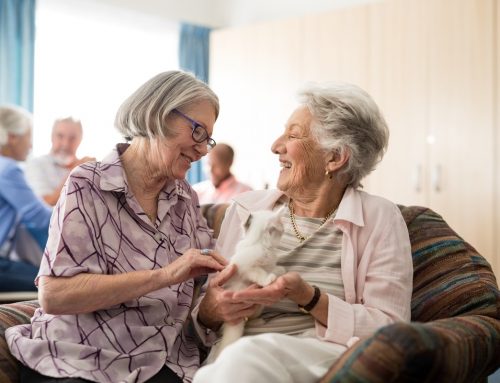 How Senior Living Is Important In A Healthy Aging Care Plan